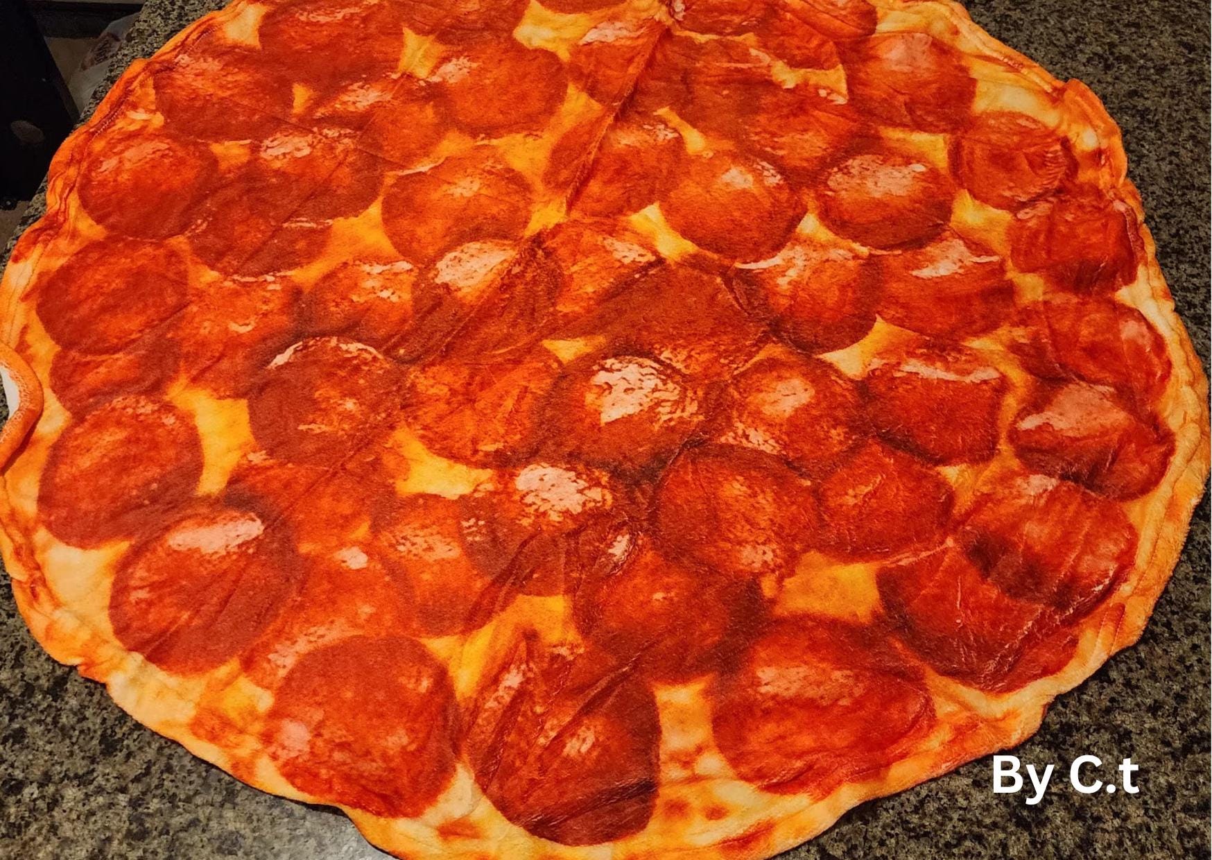 Washable Plush Pizza Blanket, for Puppy Dog Rest Mat, Cat mat, soft Peperoni pizza blanket size 100*100cm